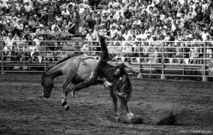 Bareback rider falling off horse at Spanish Fork Fiesta Days rodeo