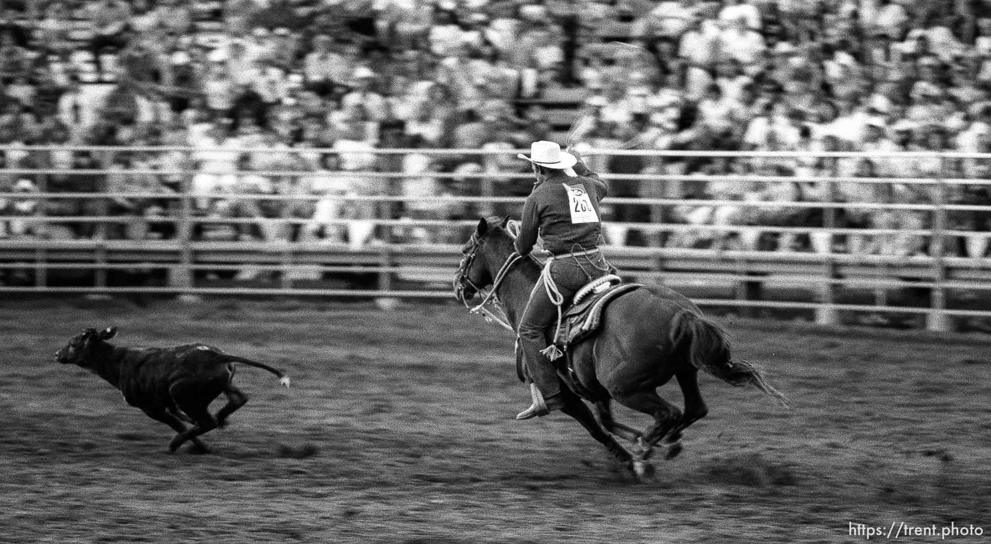 Spanish Fork Fiesta Days