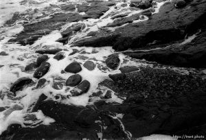 rocks and surf at beach.