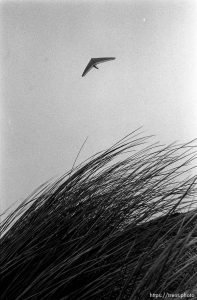 hang glider above Fort Funston