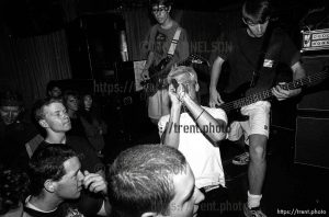 Insight at the Speedway Cafe.