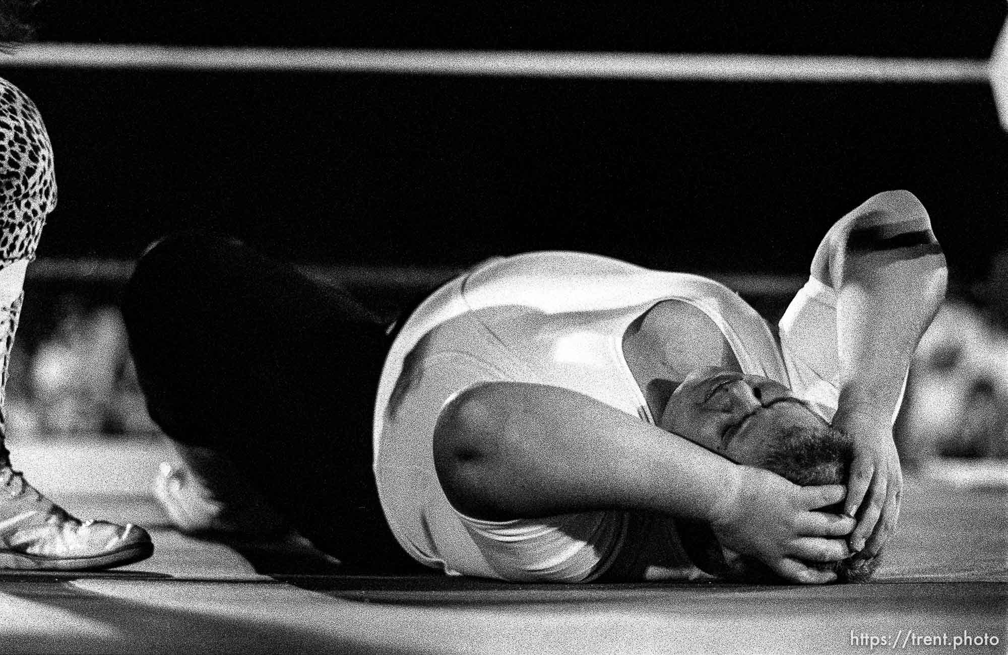 Professional Wrestling