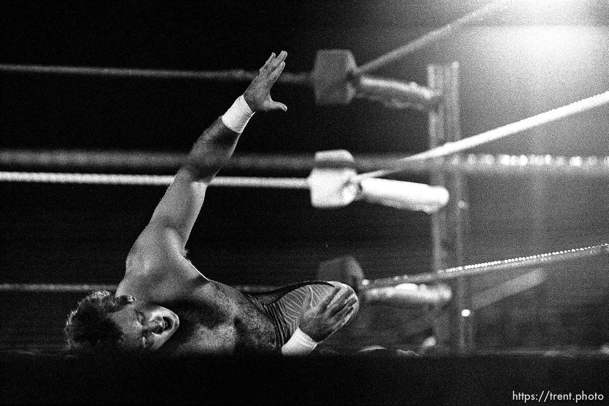 Professional Wrestling