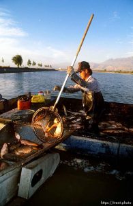 Fisherman returns with catch.