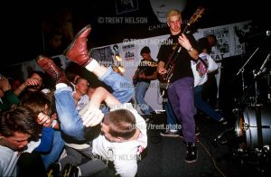 Insight at Reptile Records.