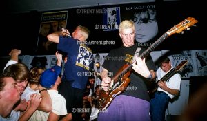 Insight at Reptile Records.