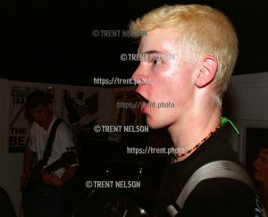 Insight at Reptile Records.