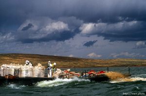 Workers dump poison into Strawberry Reservoir in an attempt to purify the fish population. All fish were killed, then it was re-stocked.