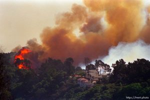 Homes on Grizzly Peak are threatened by the Oakland Hills Fire. These homes miraculously survived.