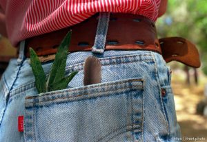 Leaves and a feather in the back pocket of woman who teaches kids about nature and the outdoors.