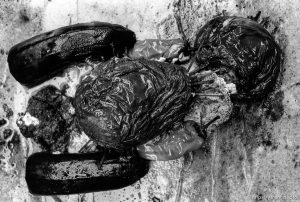 Produce Woman, day 41