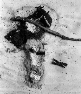 Produce Woman, day 29