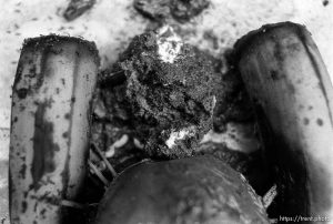 Produce Woman, day 31