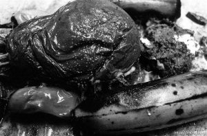 Produce Woman, day 33