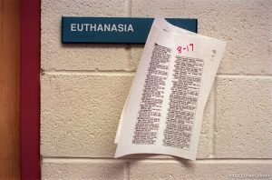 Euthanasia list at the Humane Society for story on pet euthanasia.