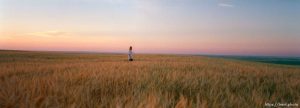 Camille Robinson in barley field