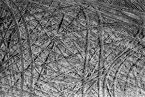 ATV tracks on Sand Mountain.