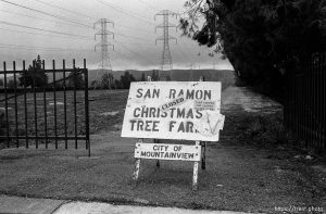 Christmas tree farm sign