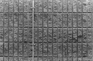 Wall at Pine Valley Intermediate