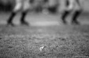 The Skyline High School football team's lucky Snickers candy bar on the field during a playoff game.
