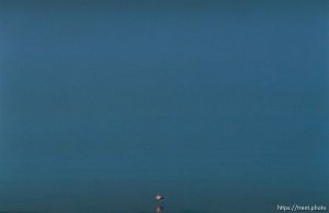 Pink Floyd, a Chilean flamingo that escaped from Tracy Aviary in 1988, on the shore of the Great Salt Lake where it spends most winters.