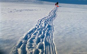 walk up the hill, sledding at Sugarhouse Park1999/12/04