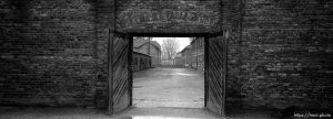 Looking out of the death block's courtyard (where the wall of death is) at the Auschwitz Concentration Camp.