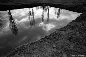 Pool filled with ashes of the dead at the Birkenau Concentration Camp.