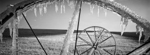 Ice on irrigation equipment.