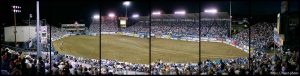 Reno Rodeo