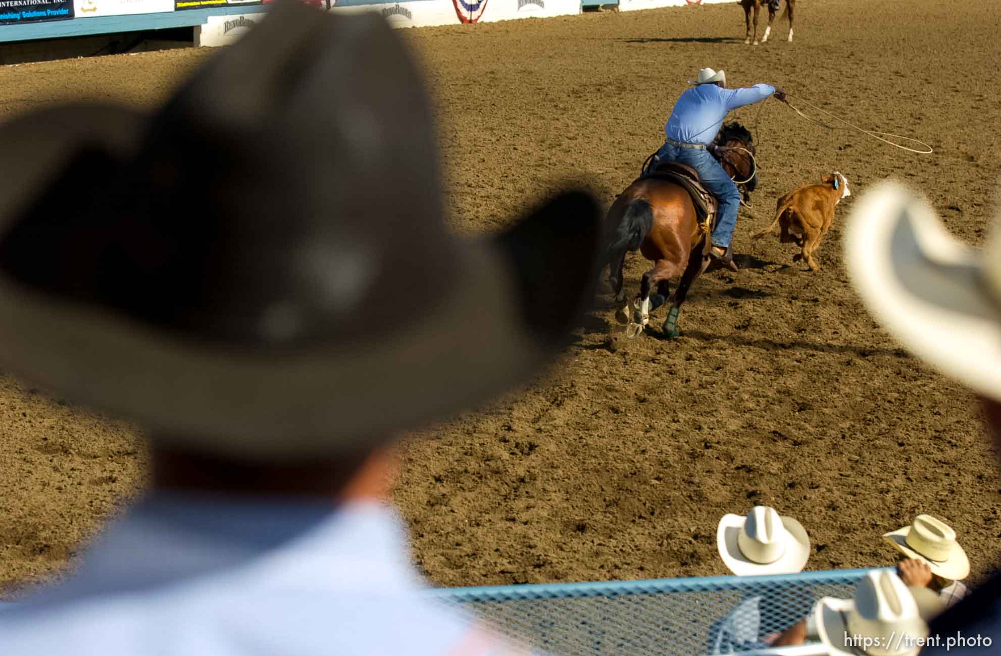 Canon EOS-1D Mark II N