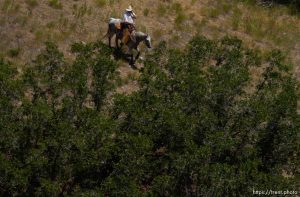 The search continues Tuesday afternoon in Salt Lake City's Memory Grove for jogger Lori Hacking, who went for a run in the park Monday morning and disappeared.