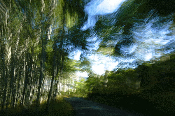 Canon EOS-1D Mark II N