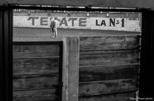 horse caballo arena; 12.05.2004