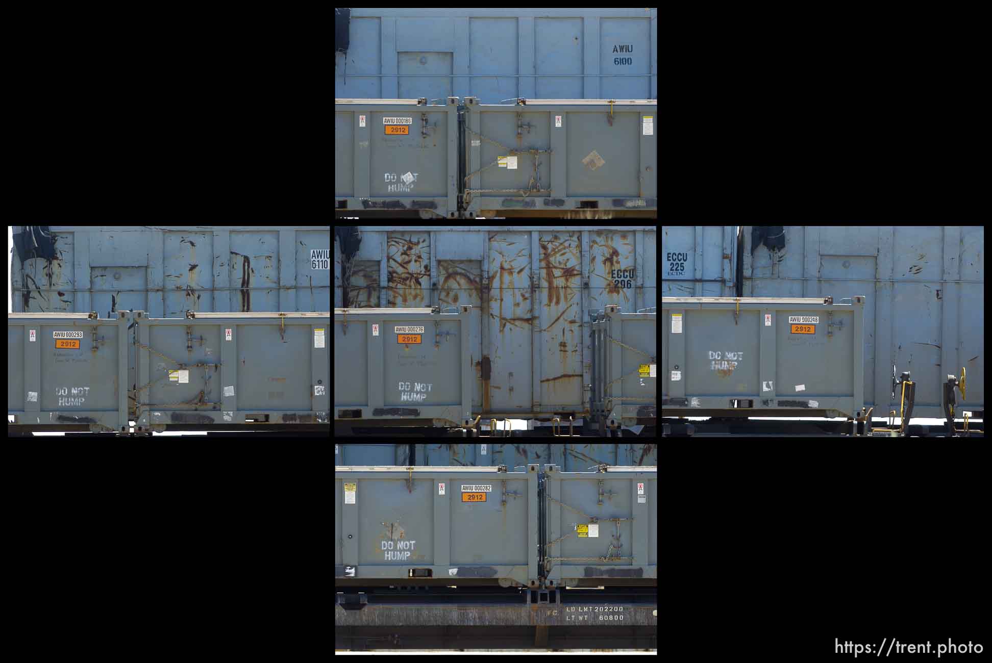 Canon EOS-1D Mark II N