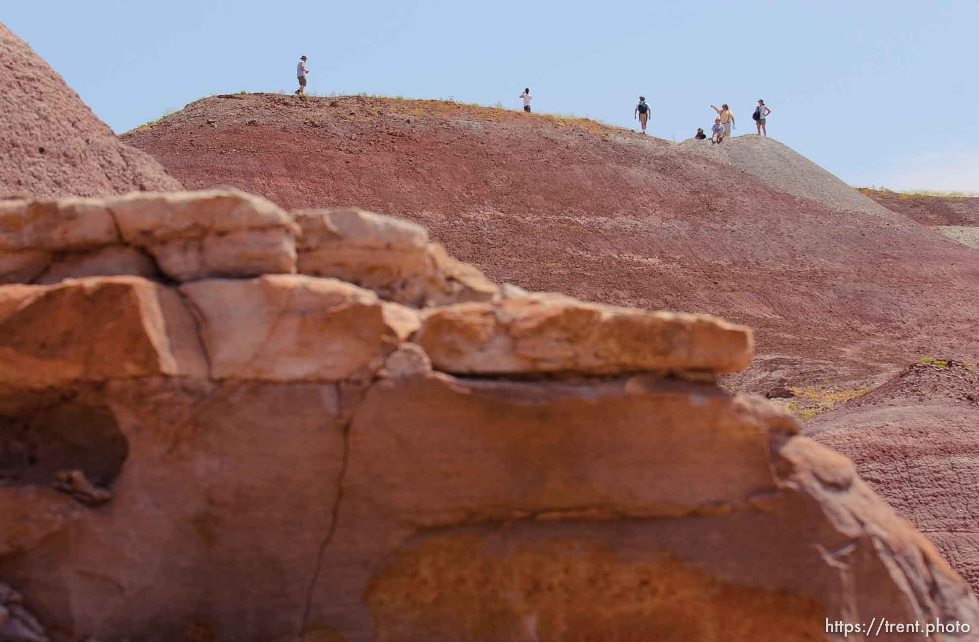 Canon EOS-1D Mark II N