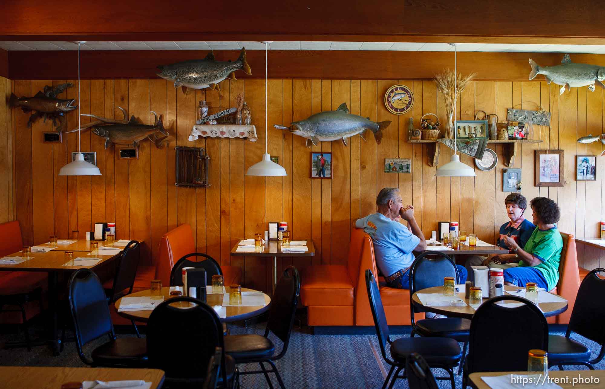 Canon EOS-1D Mark II N