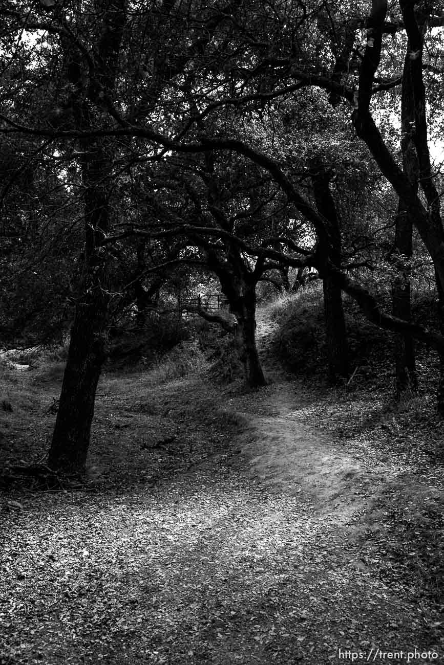 Bishop Ranch Regional Preserve