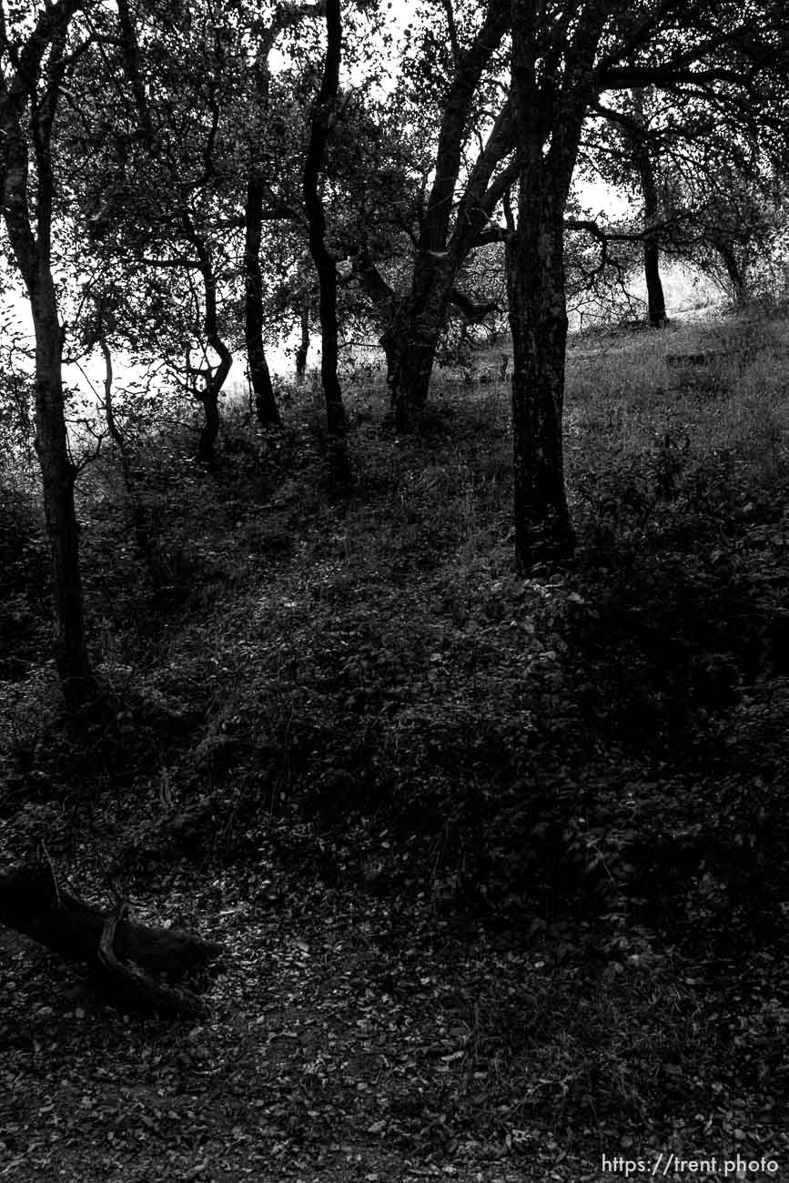 Bishop Ranch Regional Preserve