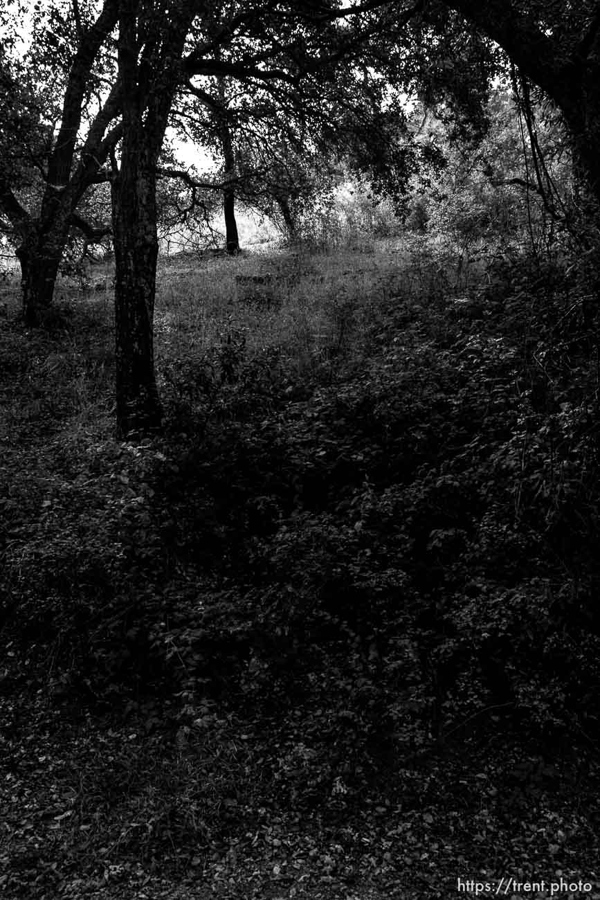 Bishop Ranch Regional Preserve