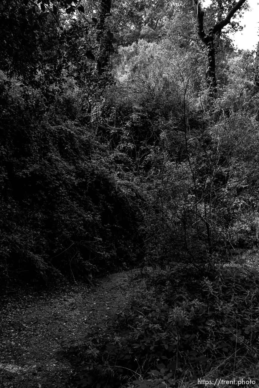 Bishop Ranch Regional Preserve