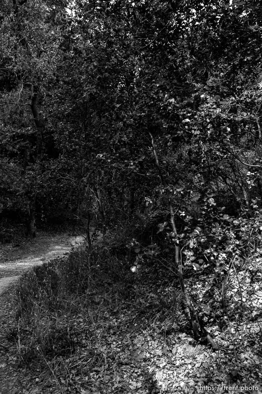 Bishop Ranch Regional Preserve