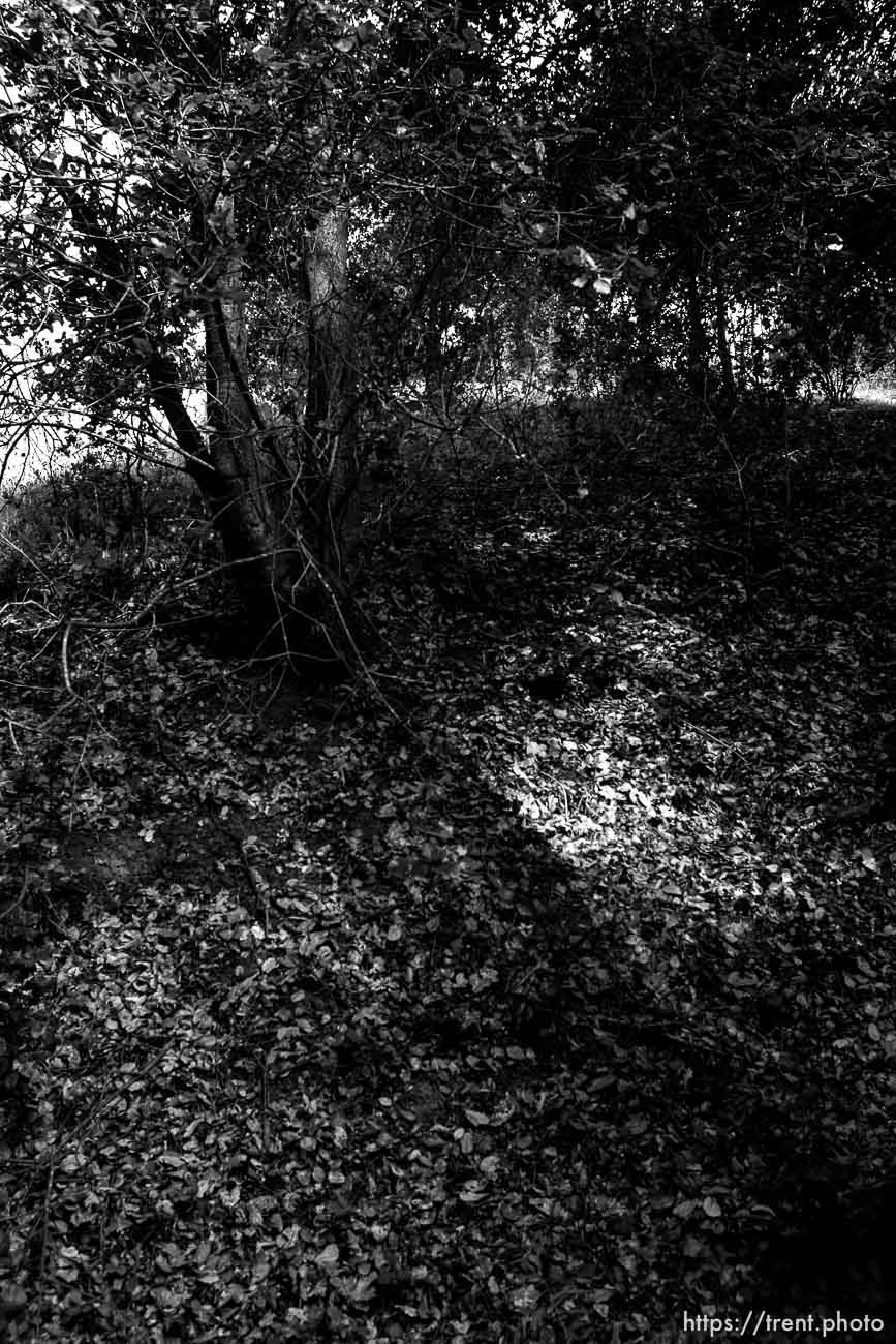 Bishop Ranch Regional Preserve