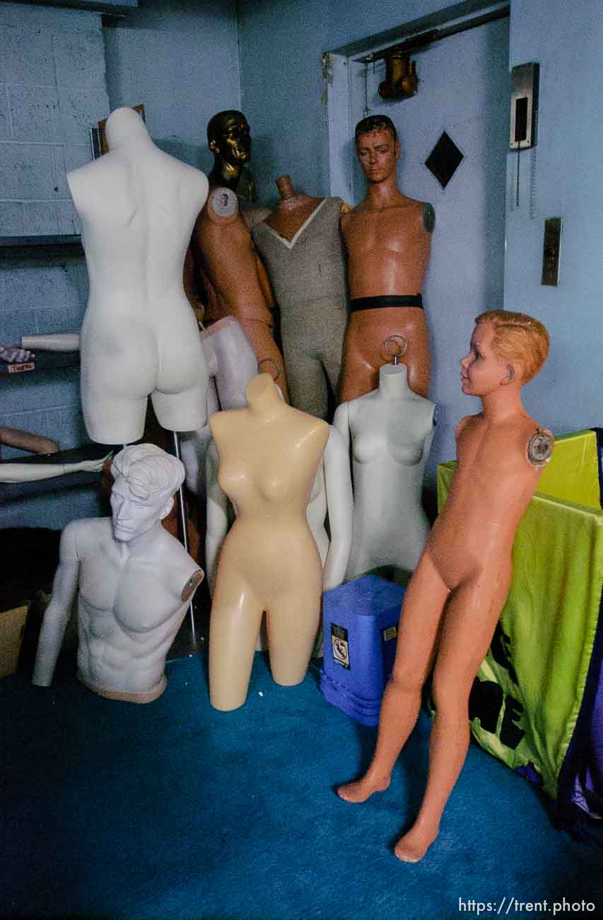 Canon EOS-1D Mark II N