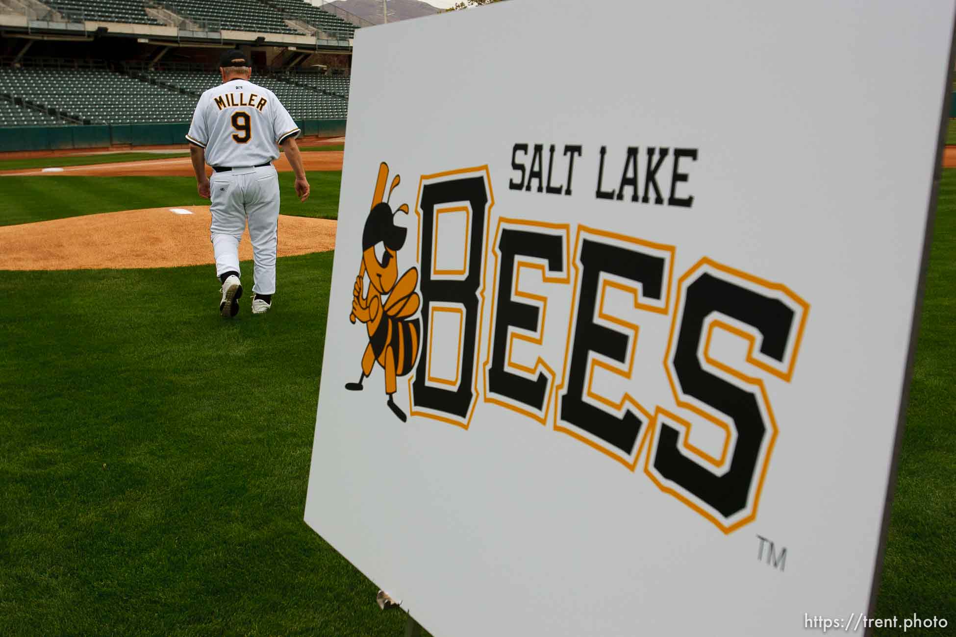 Salt Lake Bees