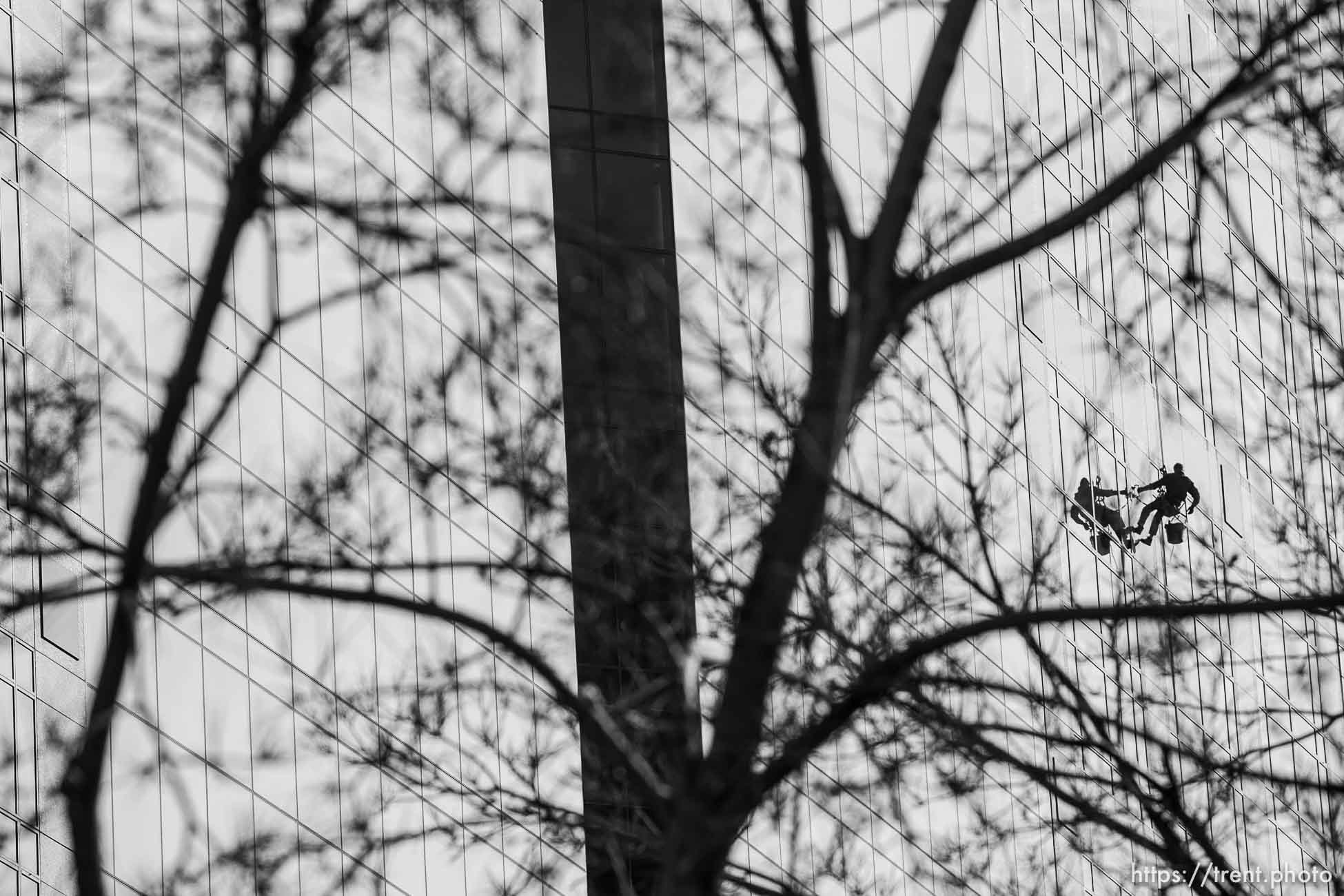 Canon EOS-1D Mark II N