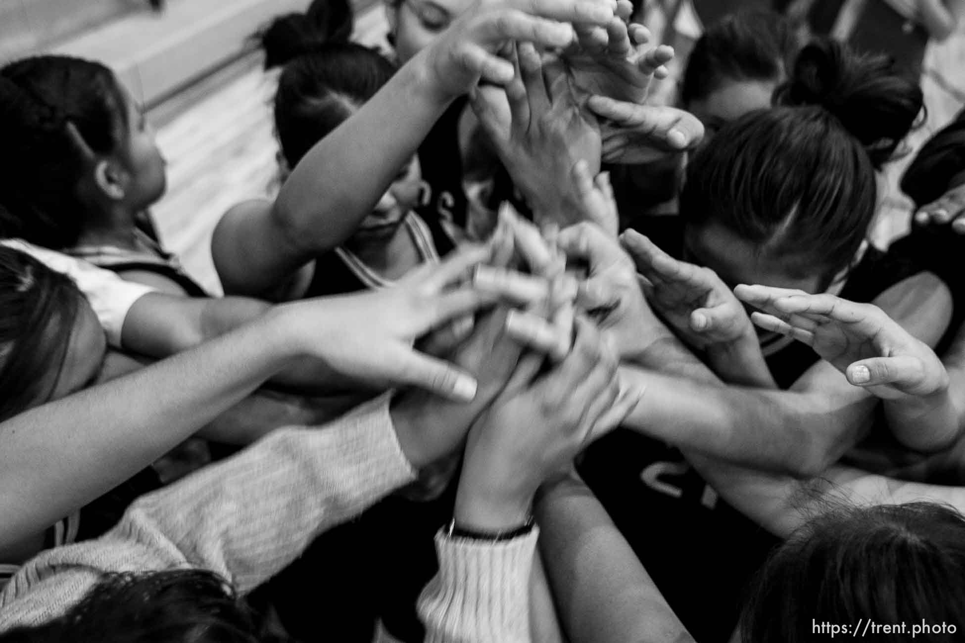 Canon EOS-1D Mark II N