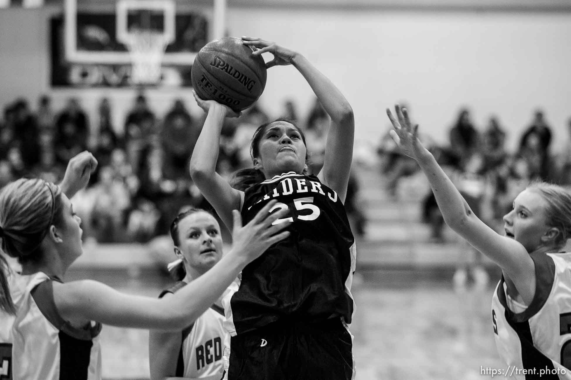 Canon EOS-1D Mark II N