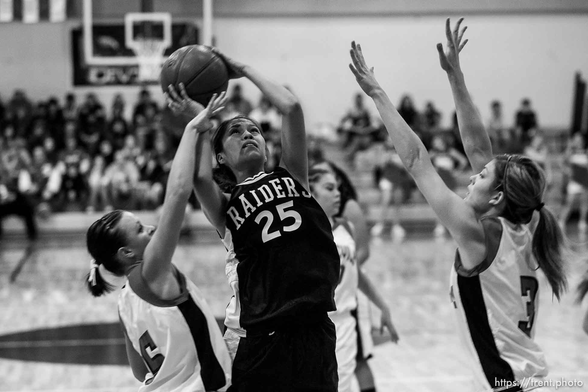 Canon EOS-1D Mark II N