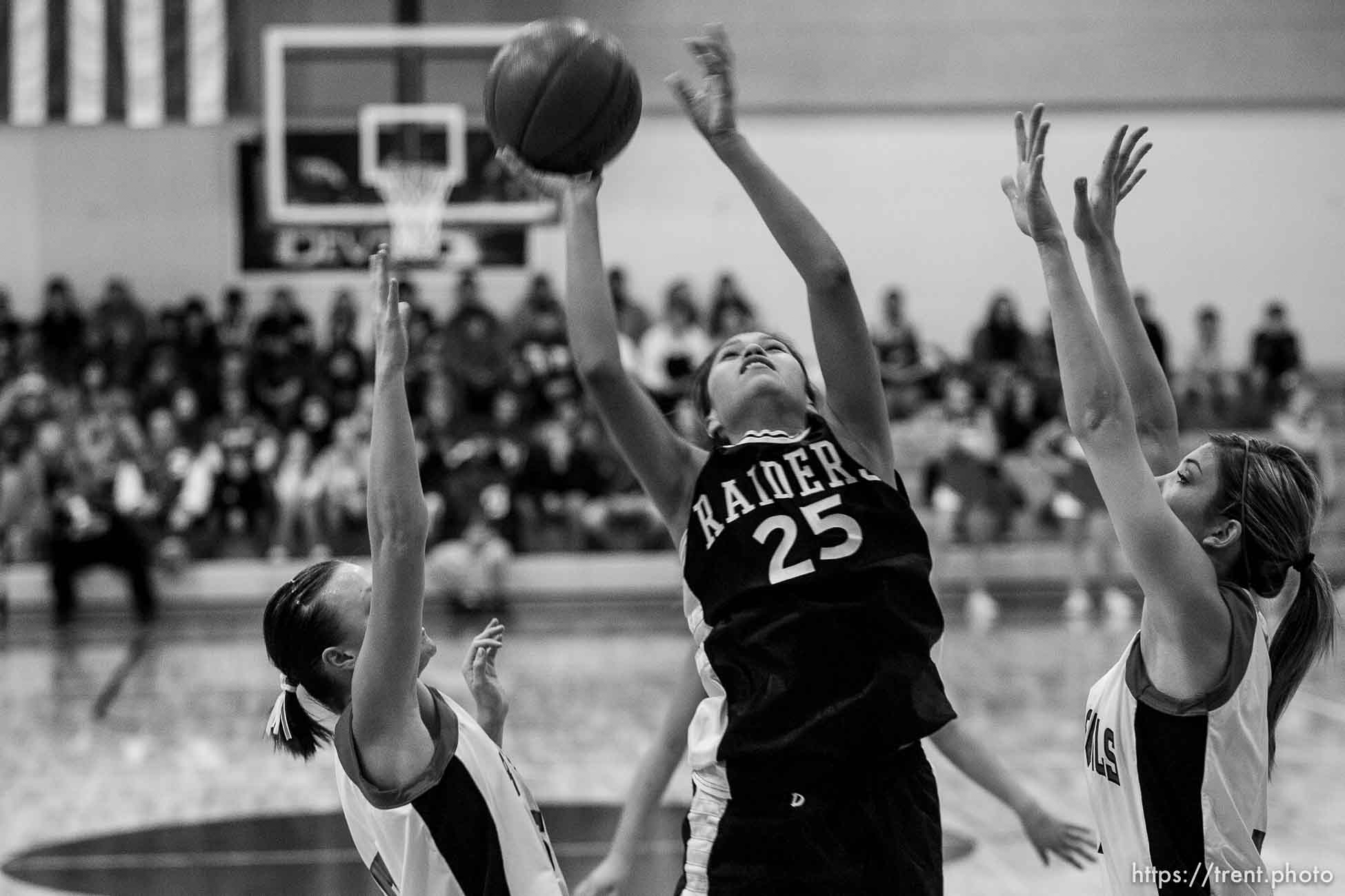 Canon EOS-1D Mark II N